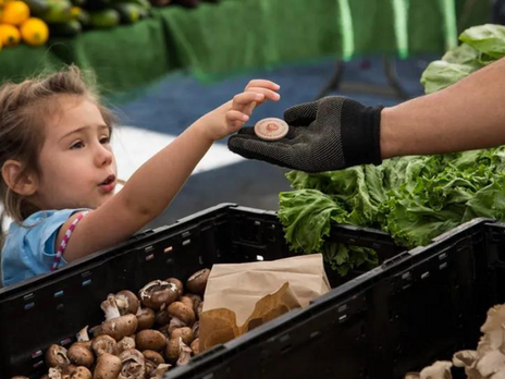 Feeding the USA: Why the 2024 Farm Bill matters