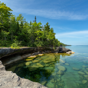 Environmental Protection