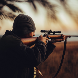 The 2nd Amendment & Gun Violence