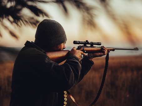 The 2nd Amendment & Gun Violence