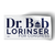 Dr. Bob Lorinser (8" x 4" Bumper Sticker)